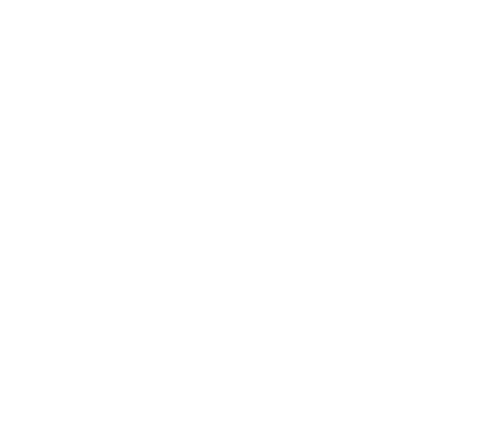 Logo Les Vignes d'Eguisheim